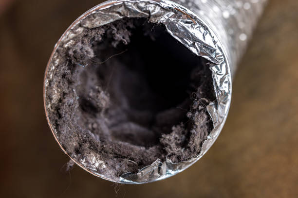 Best Air Duct Cleaning Near Me  in Caddo Mills, TX