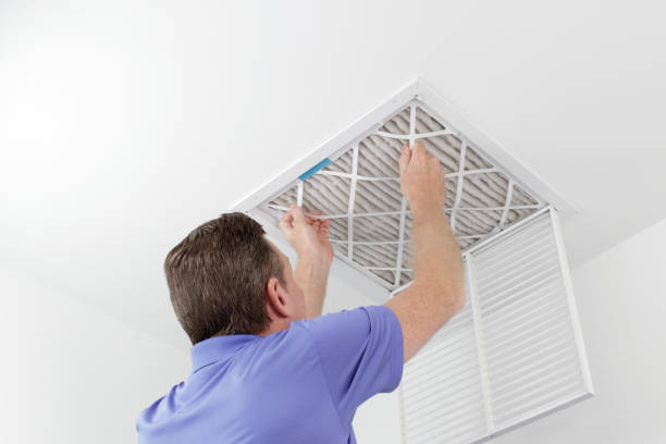 Best Air Duct Mold Removal  in Caddo Mills, TX